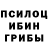 Псилоцибиновые грибы Cubensis Arthit Anurak