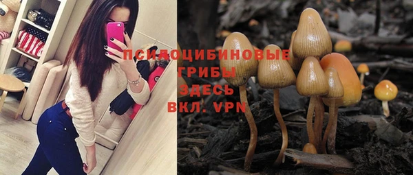 спайс Абинск