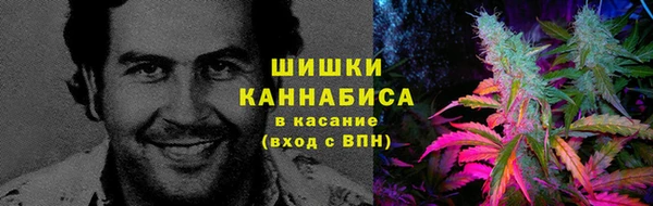 сатива Абдулино