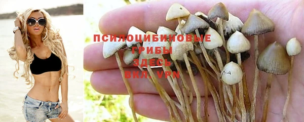 спайс Абинск