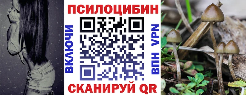 Галлюциногенные грибы Cubensis  OMG   Ачхой-Мартан 